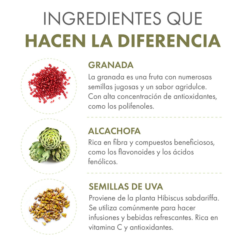 TEATOX, SÚPER ALIMENTO CON ESPIRULINA, TÉ VERDE, ALCACHOFA, FLOR DE JAMAICA ,GRANADA Y SEMILLAS DE UVA